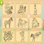 Horse Coloring Book