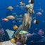 Big Kahuna Reef