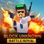 Forte Craft Unknown Battlegrounds Royale