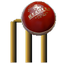Cricket 3D