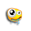 PMsn Paraiso