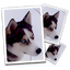 SmillaEnlarger