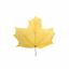3D Leaves Screensaver