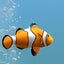 SereneScreen Marine Aquarium