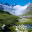 Spring Live Wallpaper