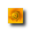 Image Gallery Maker