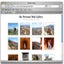Web Gallery Builder