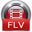 4Videosoft FLV 動画変換
