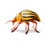 Arovax AntiSpyware