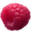 LitchiSoft Tumblr Photo Downloader