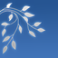 FreeSmith Video Player