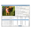 CacheViewer