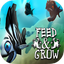 Feed And Grow Fish Simulator
