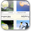 FastStone Image Viewer Portable