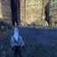The Witcher