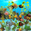 Tiger Oscar Aquarium
