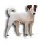 iFoxSoft Photo Crop Editor