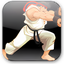 Street Fighter 2