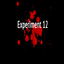 Experiment 12