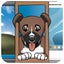 Bosco's Screen Share