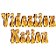 Videation Nation
