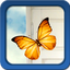 Butterflies Live Wallpapers