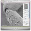 Virtual Microscope