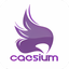 Caesium Portable