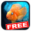iQuarium