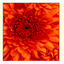 Easy Image Modifier