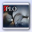 Pigeon Loft Organizer