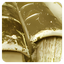 TheSage English Dictionary