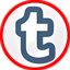 Tumblr widget