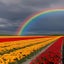 Fields of Flowers