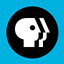 PBS:Public Broadcasting Service