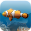 SereneScreen Marine Aquarium