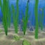 Water Life 3D Screensaver