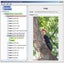 JShowBuilder