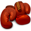 Boxer