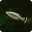 Aquarix