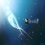 Windows 7 Wallpaper