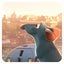 Fond d'écran Ratatouille