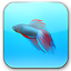 SevenVG RC Theme for XP