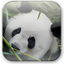 Panda Cloud Antivirus