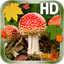 Leaves Mushroom HD LWP