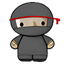 System Ninja