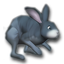 3D Desktop Bunny Rabbits