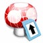 Wii Transfer
