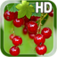 Berry Live Wallpaper