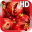 Fruit Pomegranate LWP